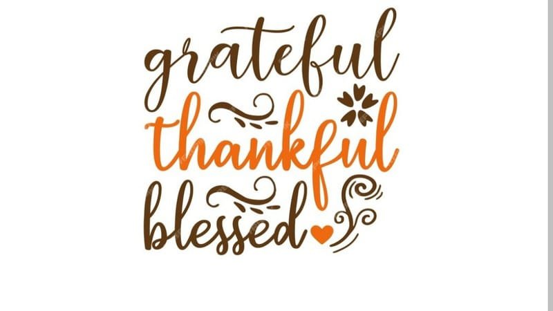 grateful:yvgdpleojnm= thanksgiving quotes